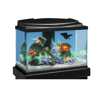 Plastic Aquarium Fish Tank Starter Kit Goldfish Carry Handle Lid Gravel  Cage New