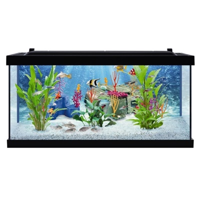 Tetra Kit d'aquarium, aquarium avec filtre et lumières 10 litres :  : Animalerie
