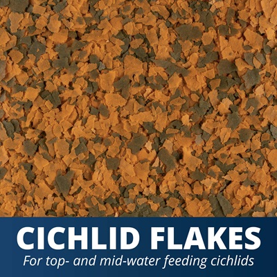 Tetra Cichlid Crisps, Nutritionally Balanced Fish Food for All Top and  Mid-Water Cichlids, 8.82 oz