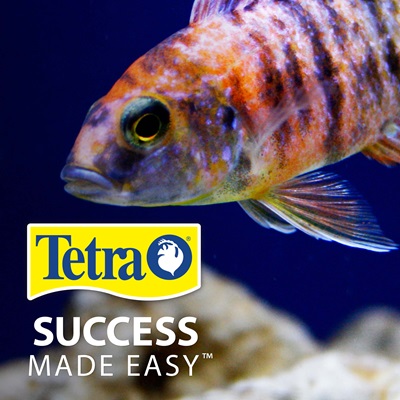 Tetra Cichlid Flakes for Mid And Top Feeding, 5.65 oz.