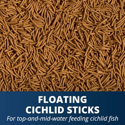 TetraCichlid Floating Cichlid Pellets 6 Ounces For Medium-Large Cichlids.  2/2025