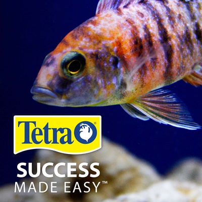 Tetra Food For Fish Cichlid Sticks