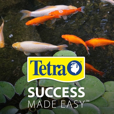 Tetra Pond Multi Mix Complete Varied Fish Food for Mixed Pond Fish 1 Litre