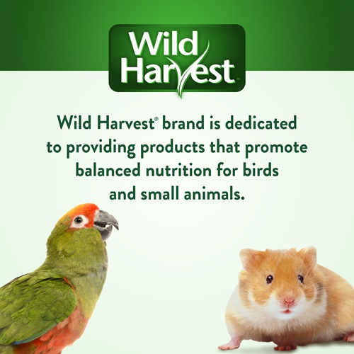 Wild Harvest Edible Logz Hide Away Treat for Small Animals, 8.5 oz. 