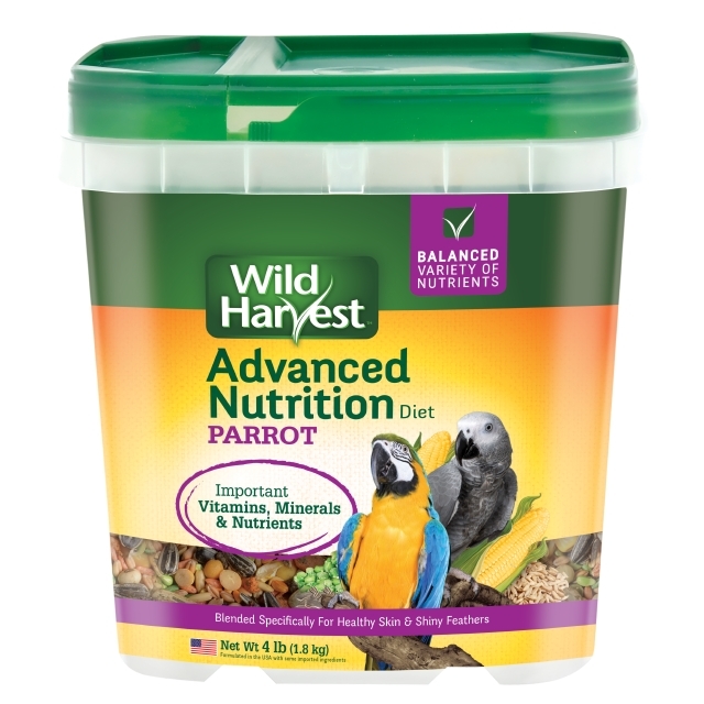 Wild best sale parrot food