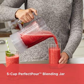 5-Cup PerfectPout Blending Jar