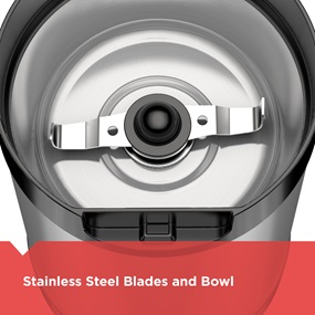 Stainless steel blades and bowl
