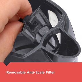 removable anti-scale filter