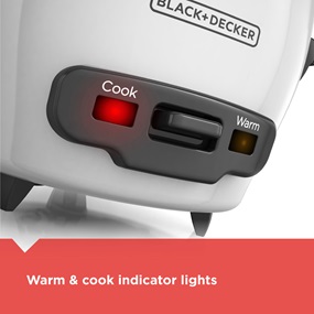 Warm and cook indicator lights