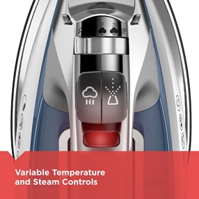variable temperature and steam controls