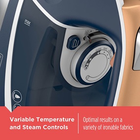Elite Pro Series Steam Iron has variable temperature and steam controls - D3300