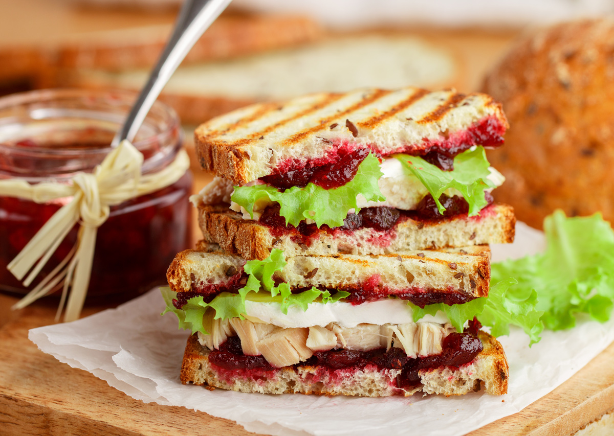 Turkey and Cranberry Panini