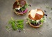 Beet Sliders with Micro Greens and Dill Mayo
