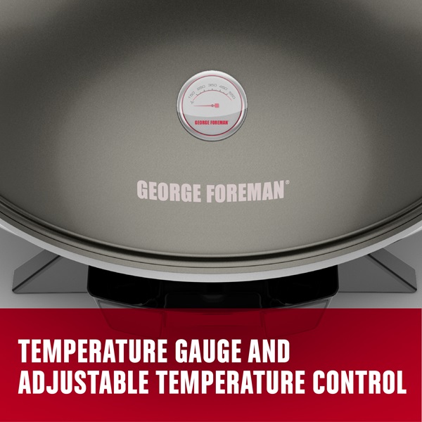 temperature gauge and adjustable temperature control