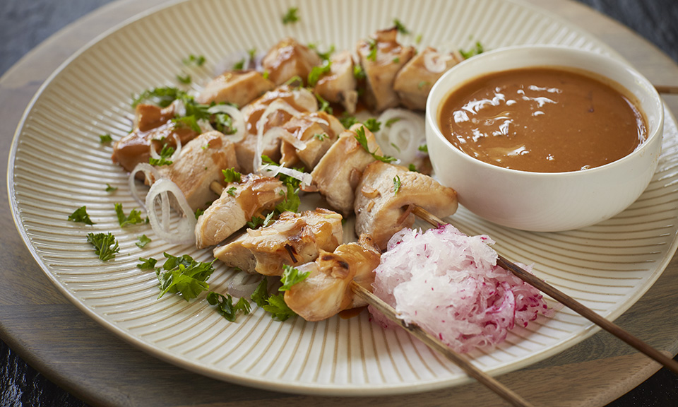 thai chicken satay recipe russell hobbs 